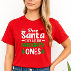 FUNNY HOLIDAY SHIRT:Dear Santa, They Are the Naughty Ones