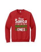 Dear Santa, They Are the Naughty Ones