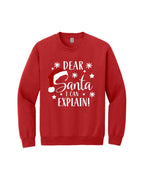 Dear Santa, I Can Explain!