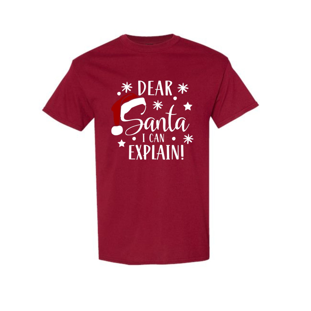 FUNNY HOLIDAY SHIRT: Dear Santa, I Can Explain!