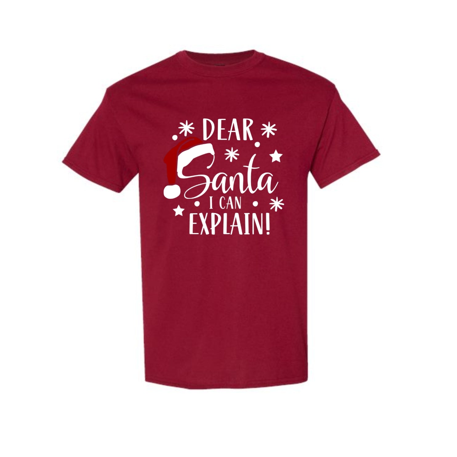 FUNNY HOLIDAY SHIRT: Dear Santa, I Can Explain!