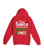 Dear Santa, They Are the Naughty Ones