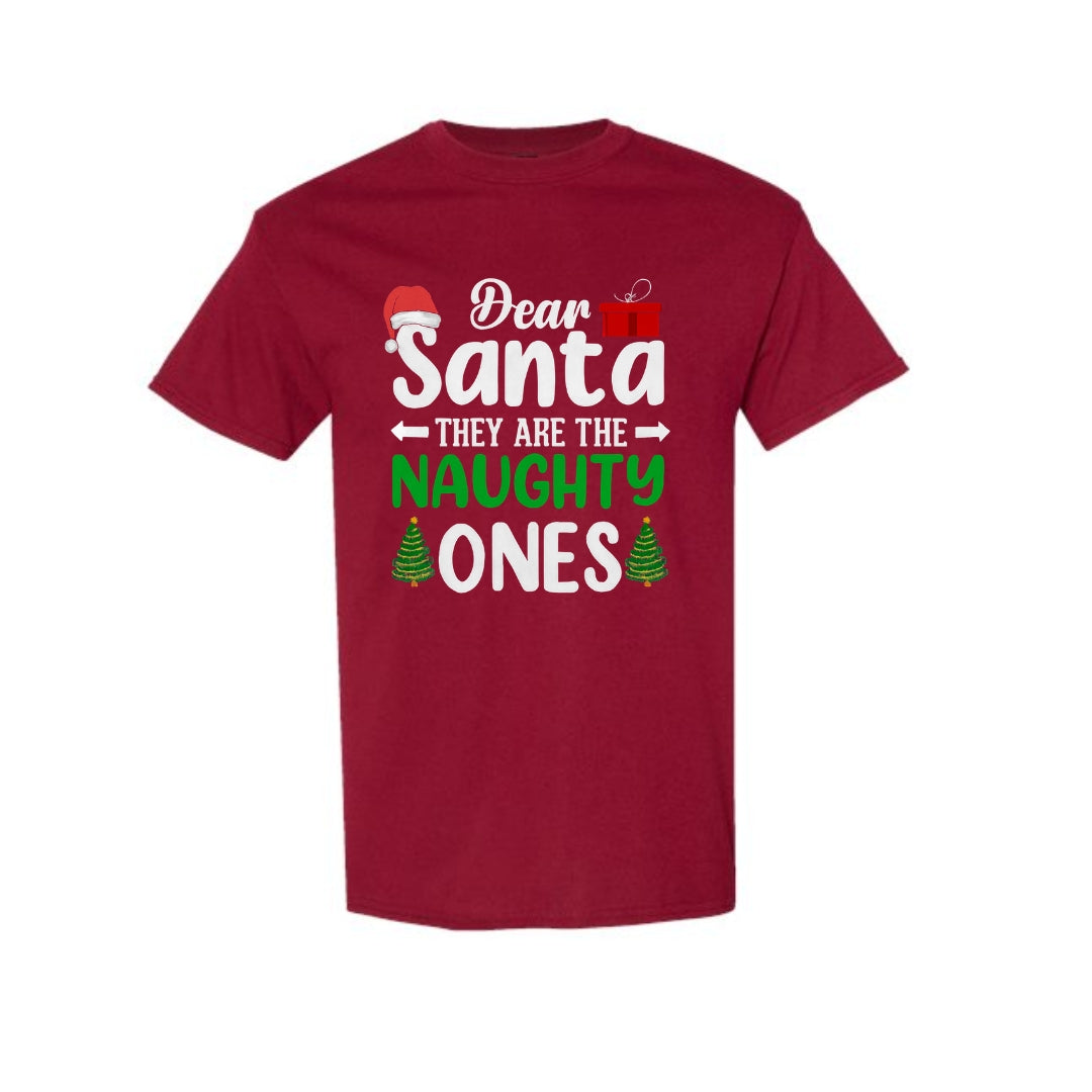 FUNNY HOLIDAY SHIRT:Dear Santa, They Are the Naughty Ones