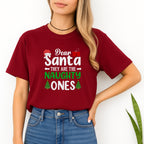 FUNNY HOLIDAY SHIRT:Dear Santa, They Are the Naughty Ones