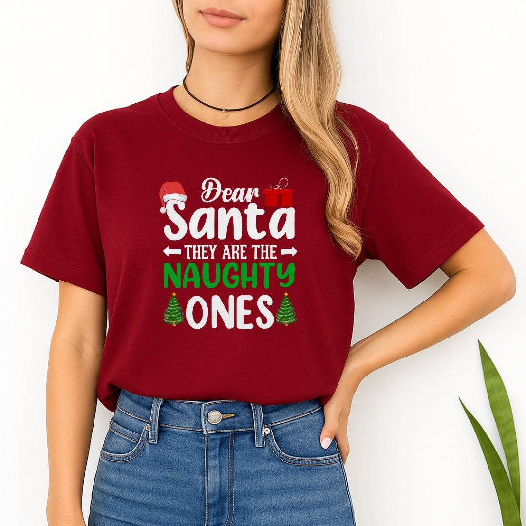FUNNY HOLIDAY SHIRT:Dear Santa, They Are the Naughty Ones