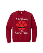 I Believe in Santa Paws – Cute Christmas Dog Lover Gift