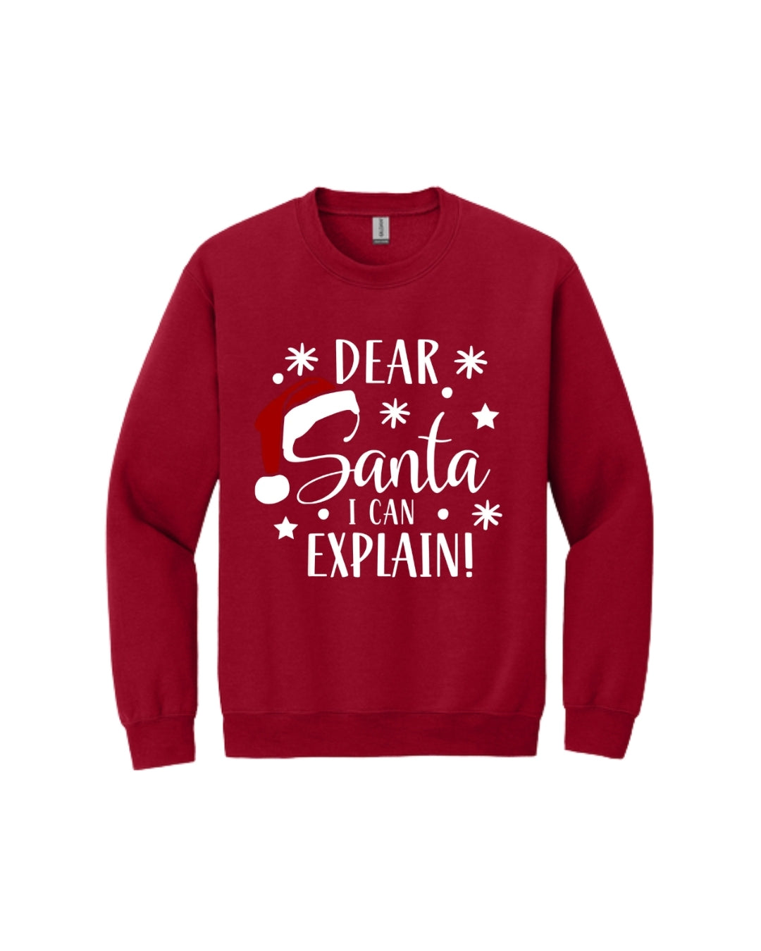 Dear Santa, I Can Explain!