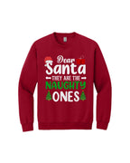 Dear Santa, They Are the Naughty Ones