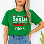FUNNY HOLIDAY SHIRT:Dear Santa, They Are the Naughty Ones