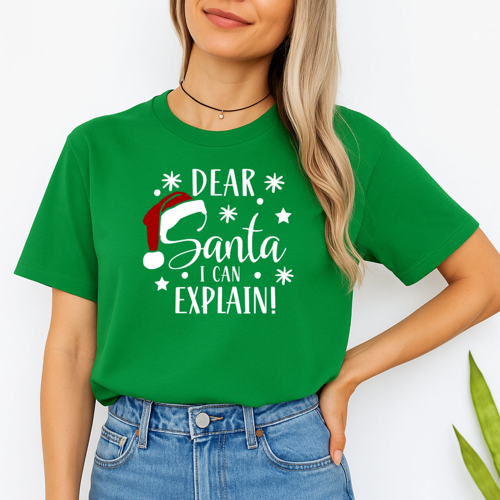 FUNNY HOLIDAY SHIRT: Dear Santa, I Can Explain!