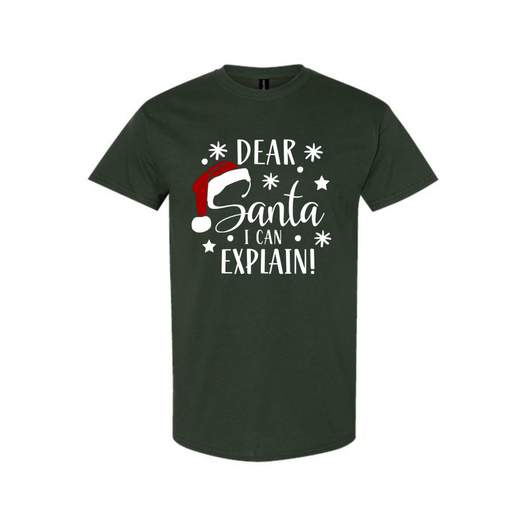 FUNNY HOLIDAY SHIRT: Dear Santa, I Can Explain!