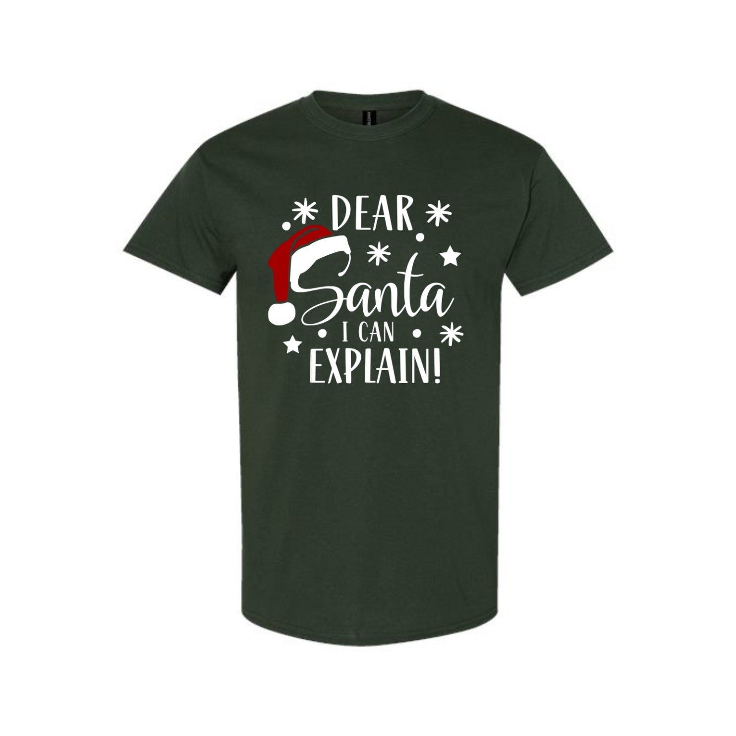 FUNNY HOLIDAY SHIRT: Dear Santa, I Can Explain!