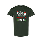 FUNNY HOLIDAY SHIRT:Dear Santa, They Are the Naughty Ones