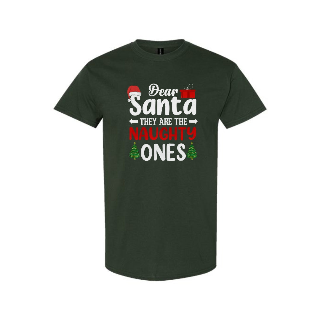 FUNNY HOLIDAY SHIRT:Dear Santa, They Are the Naughty Ones