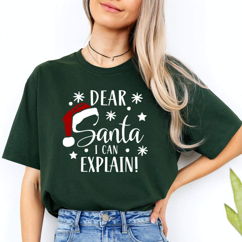 FUNNY HOLIDAY SHIRT: Dear Santa, I Can Explain!