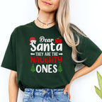 FUNNY HOLIDAY SHIRT:Dear Santa, They Are the Naughty Ones