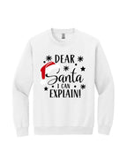 Dear Santa, I Can Explain!