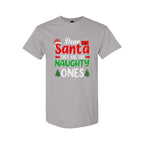 FUNNY HOLIDAY SHIRT:Dear Santa, They Are the Naughty Ones