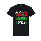 FUNNY HOLIDAY SHIRT:Dear Santa, They Are the Naughty Ones