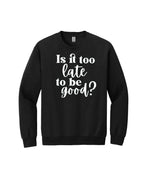 Is It Too Late To Be Good?